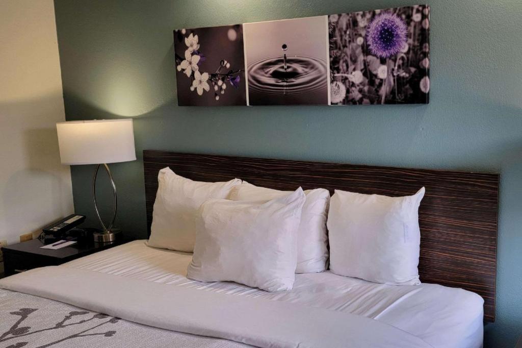 Sleep Inn Bessemer Helena Esterno foto