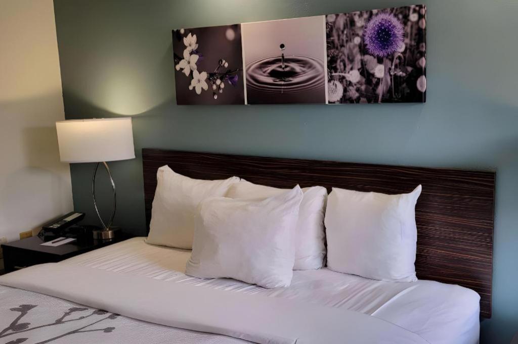Sleep Inn Bessemer Helena Esterno foto